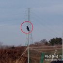 바산농장 네이버블로그