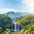 대덕청과 | 대전 가볼만한 곳 10곳 추천[현지인도 인정한 핫플 총정리]