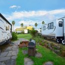 메이 더 카라반 이미지