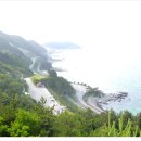 강릉임해자연휴양림 이미지