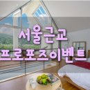 프랜치캣펜션 이미지