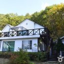 둥지 펜션 이미지