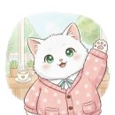 가야동물병원 | [화순 동물병원] 친절함과 합리적인 가격! 민동물병원 방문 후기