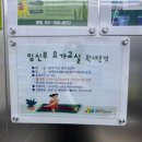 [임신일기] 32~33주 차 임신 후기 : 배는 어디까지 나오는 걸까?