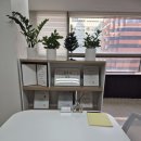 세무법인더온 이미지