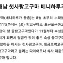 땡큐푸드