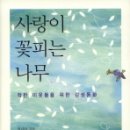 사랑이꽃피는나무 이미지