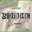 부산동물병원 제넷 이미지