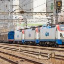 F9981 이미지
