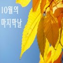 10월 31일(목) 오늘은 10월의 마지막 날 이미지