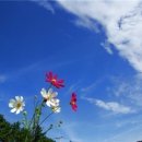 아름다움 이미지