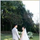 시노그라피스튜디오 | 전주 본식 DVD 시노그라피 선택 이유 진짜 후기로 풀어본 나의 경험