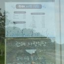 진도 관매도 백패킹 관매도 맛집 관매 사랑 식당 톳백반 정식 방문 후기