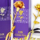 네버스탑YB 이미지