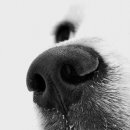 신성세탁소 이미지