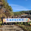 명호면사무소 이미지