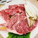 통일주유소 | [전남 강진] 강진반값여행 신청부터 정산 정산금 사용처(초록믿음강진)까지 총정리