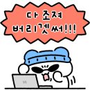 베이프데이 이미지