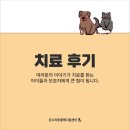 희메디칼 | 안산동물병원, 온누리동물메디컬센터 8월 치료후기 ✨