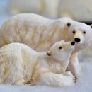 음악으로배우는영어 이미지