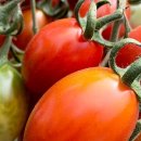 부여축산업협동조합 이미지