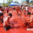 달성토마토축제 뉴시스