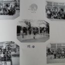 진목초등학교 이미지