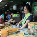 행복한감자 영농조합 이미지