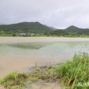 순천-58호 이미지