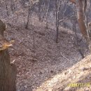 월악농장 이미지