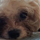 미용농장 이미지