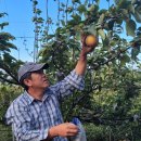 주식회사 보성 이미지