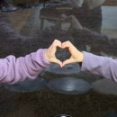 청풍명월 | 익산 한옥카페 청풍명월 분위기 좋은 카페 내돈내산후기!