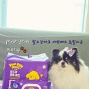 쓱싹쓱싹 | 포포몽♡산책 후엔 발티슈로 쓱싹쓱싹 🐾포포몽♡발도장 제로인 대형패드 후기🐾