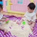 딩동댕어린이집 이미지