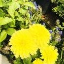 상록수역 앞 공터 이미지