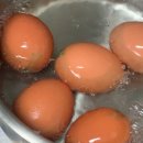 등고개2 | 난각번호1번계란 등고개농장 유정란 추천 이유