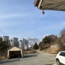 솔몰아 펜션/민박 이미지