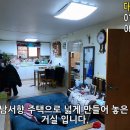 다모아부동산중개 티스토리