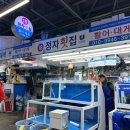 울산 농수산물도매시장 18번 정자횟집 고랑치, 줄돔, 쥐치 4만원 구매 후기