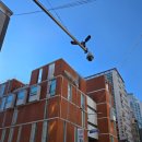 이정형 | 부산난임 시험관 세화병원 5과 이정형교수님 과배란부터 채취까지 지원금