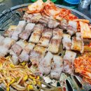 쭌이네