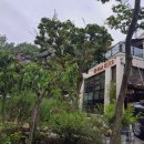 사이숲 안양예술공원점 이미지