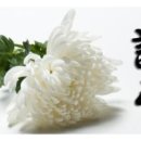 진주중앙병원장례식장주 이미지