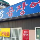 팔팔곰장어