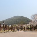 칠갑산 이미지