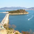 오동도로 Daum카페