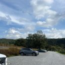 한반도뗏목마을 | 영월체험 가볼만한곳 체험해볼만한곳 한반도뗏목마을 방문후기(+가격표)