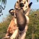 야동농장 이미지