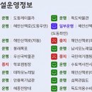 신안산대 삼거리(교통섬) | 다시 다녀온 울릉도(3월 성인봉 등반 실패기)